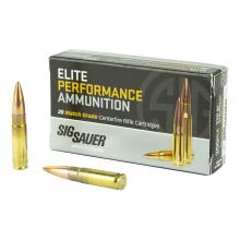 Sig Sauer E300A2-20