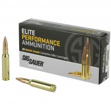 Sig Sauer E308M1-20