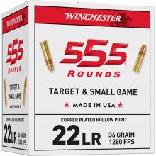 Winchester 22LR555HP