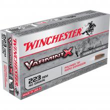 Winchester X223P1