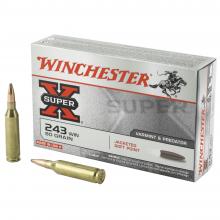 Winchester X2431