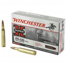Winchester X25062